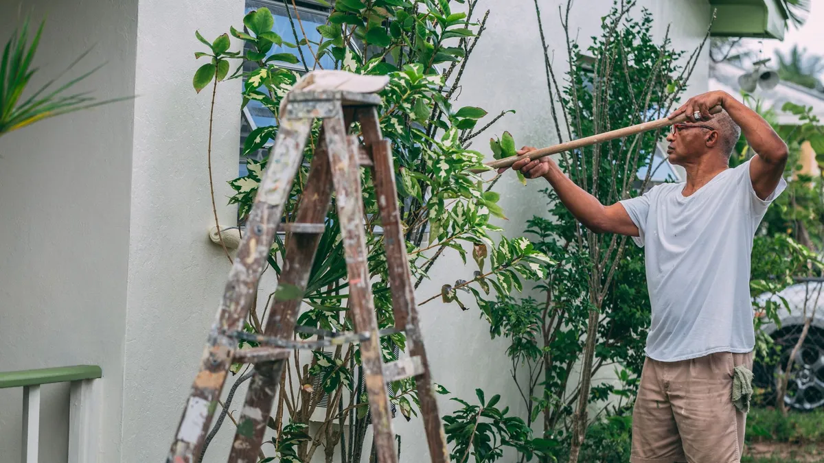 Man painting a suburban house wall outdoors with a roller and ladder