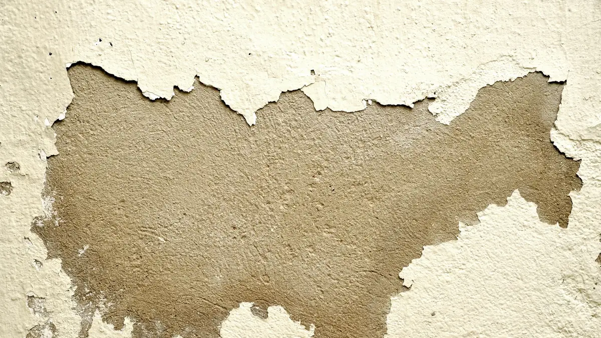 Wall showing peeling and damaged paint in need of repair