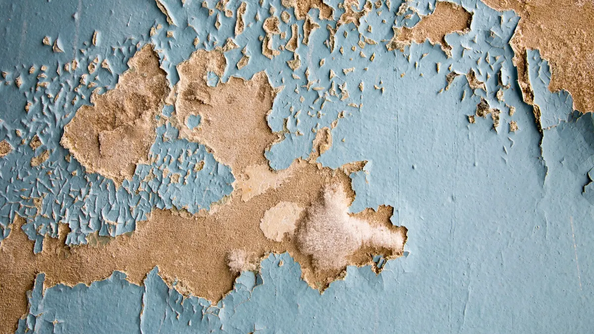 Water stain visible on a ceiling despite recent paint